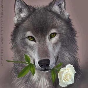 Meet your Posher, Jan